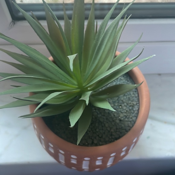 Fake Rustic Boho Plant - Picture 3 of 3